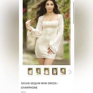 SYLVIA SEQUIN MINI DRESS -CHAMPAGNE
New with tags